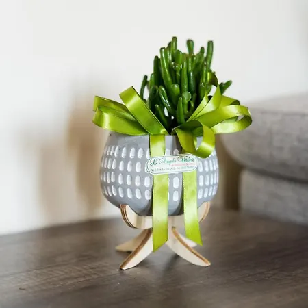 Via Dante Галлиполи